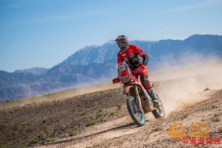 环塔拉力赛SS8赛段激战柯坪峡谷 张惠军赛段冠军 环塔拉力赛SS8赛段激战柯坪峡谷 张惠军赛段冠军